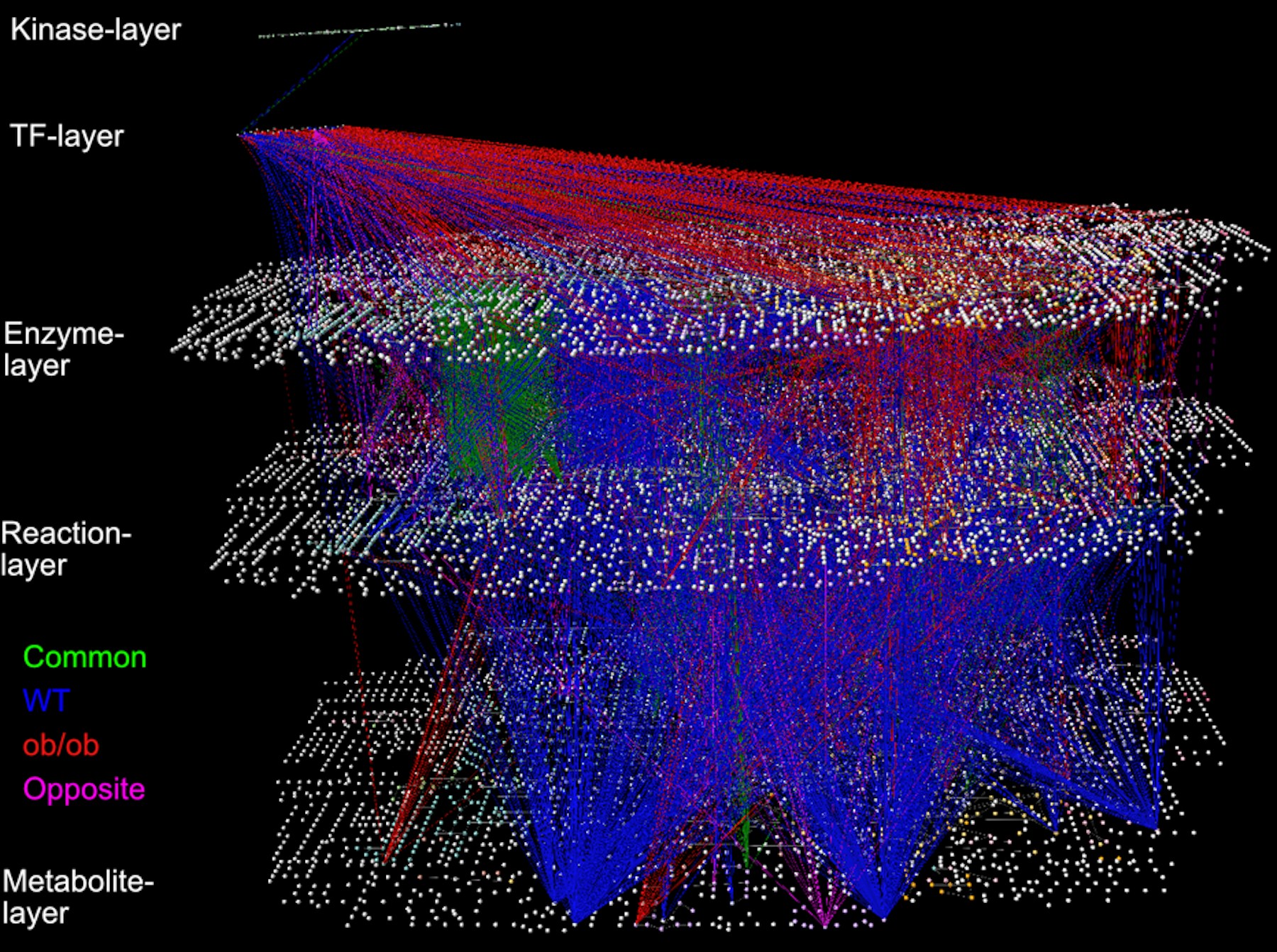 Laboratory for Integrated Cellular Systems figure