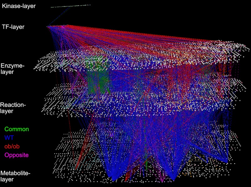 Laboratory for Integrated Cellular Systems figure