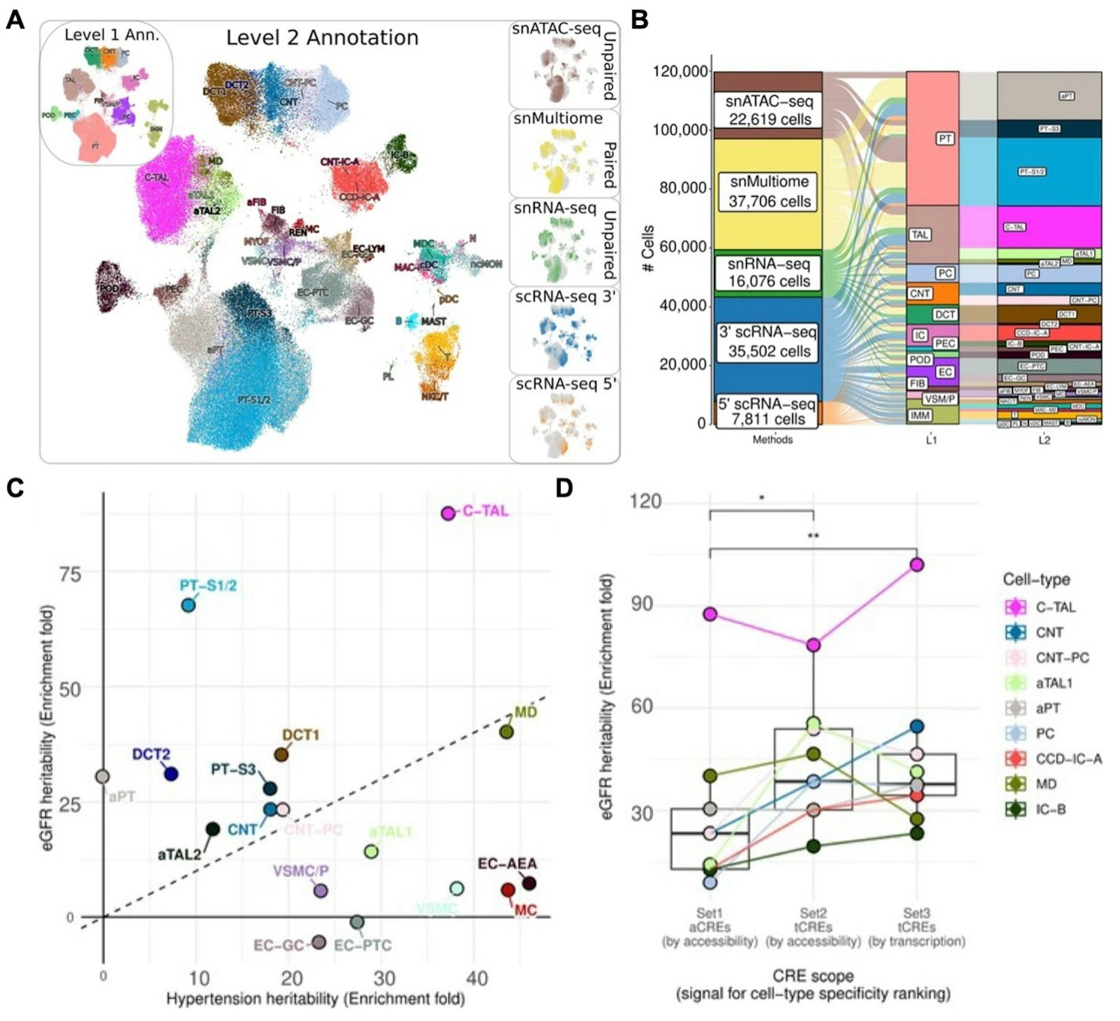 Multimodal benchmarking dataset of the human renal cortex (Ref. 4)