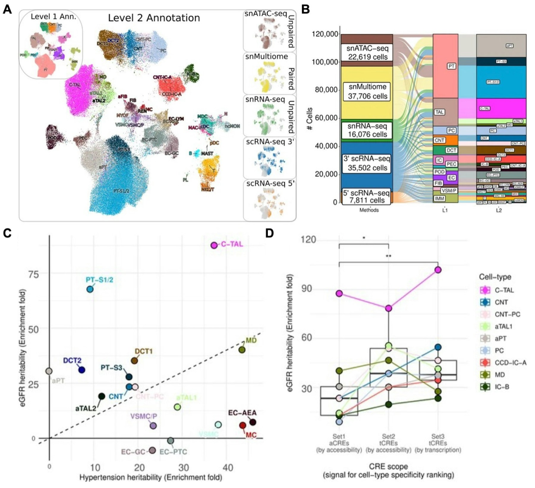 Multimodal benchmarking dataset of the human renal cortex (Ref. 4)