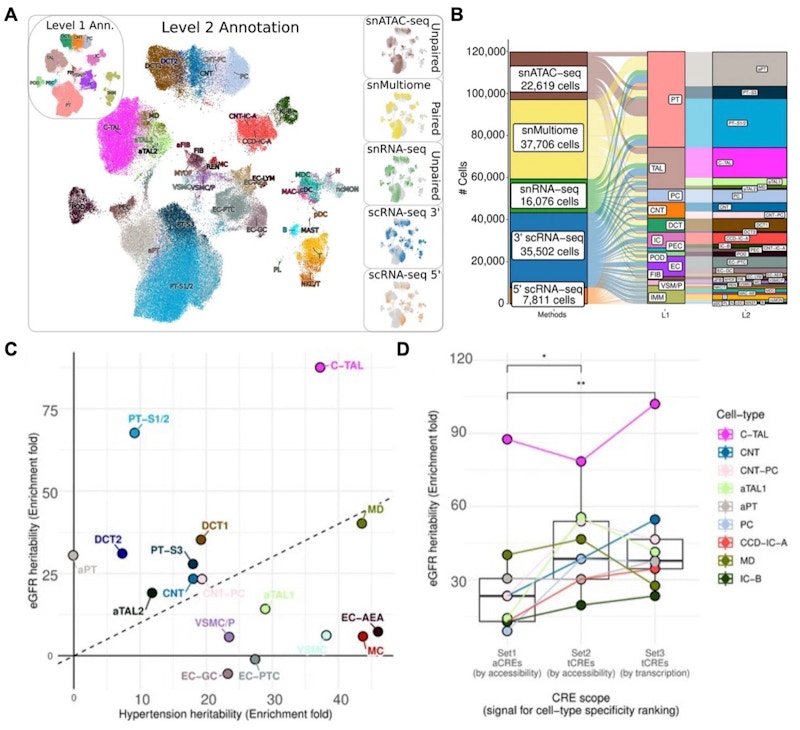 Human Cell Atlas figure
