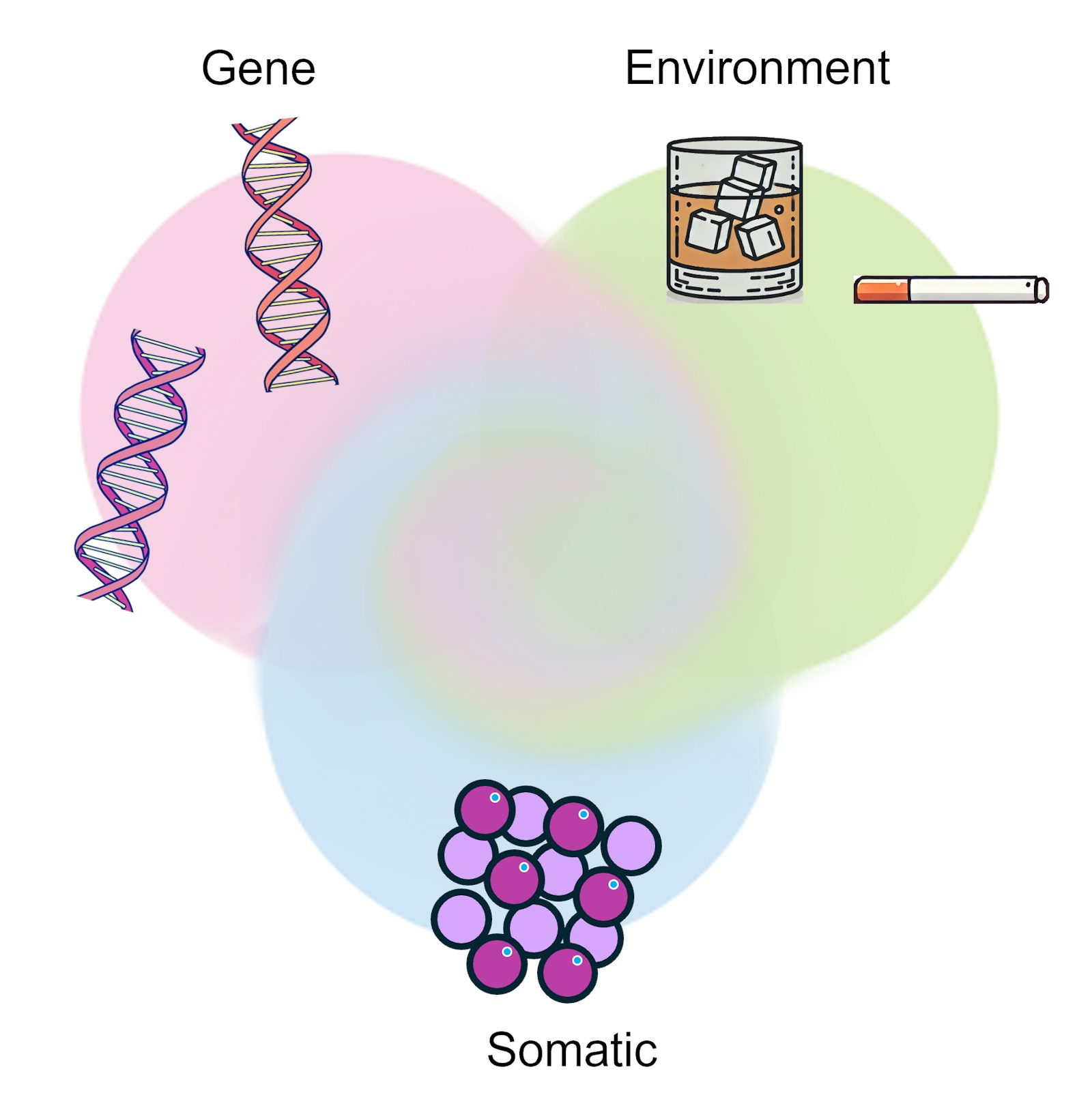 Human Translational Genomics  figure