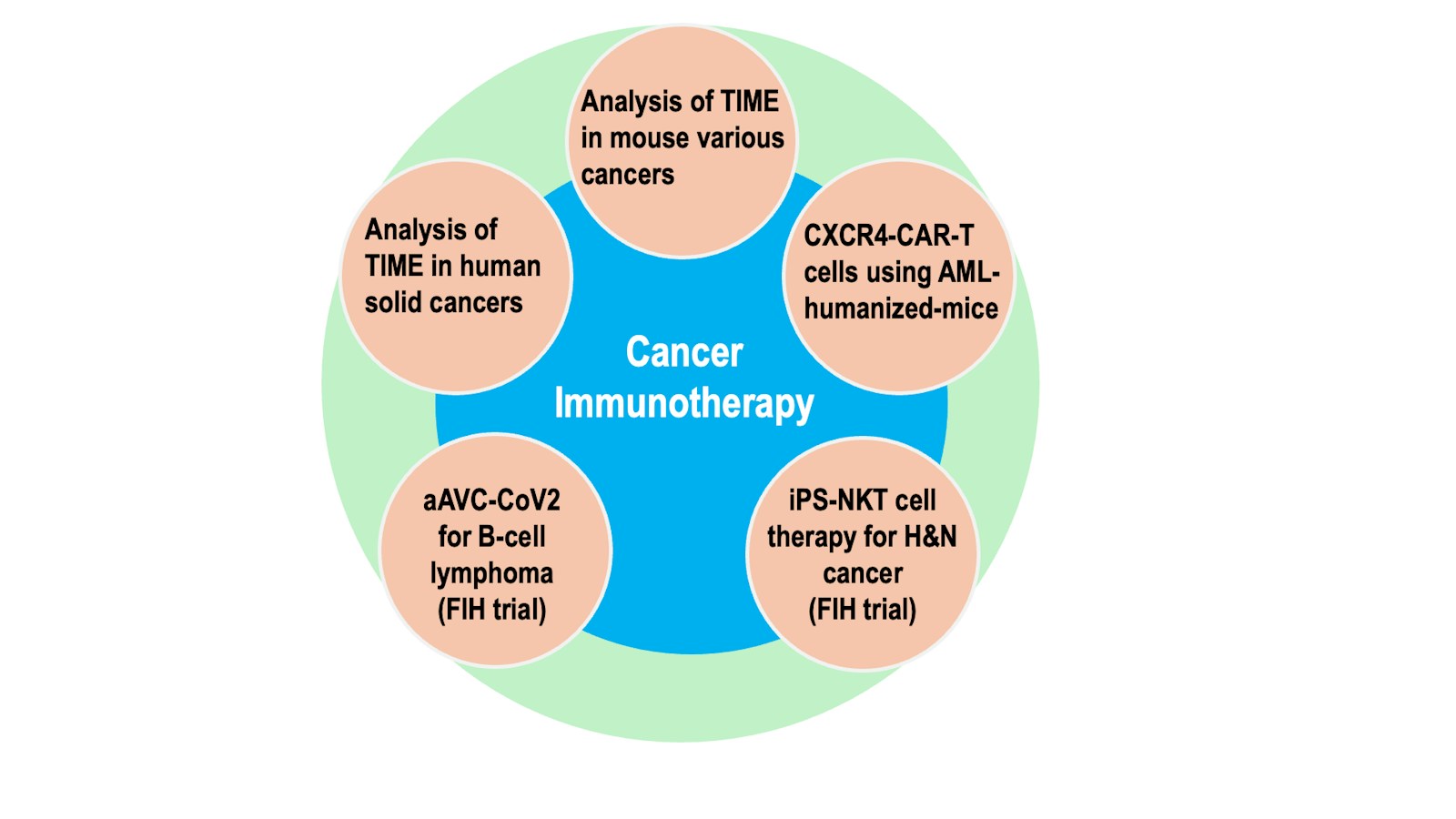 Overview of cancer immunotherapy research and development at the IMS center.