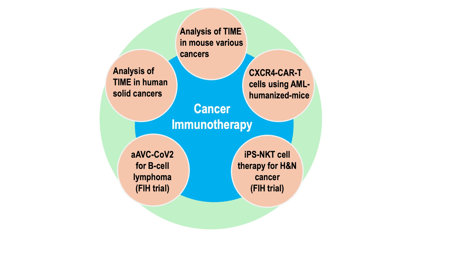 Overview of cancer immunotherapy research and development at the IMS center.