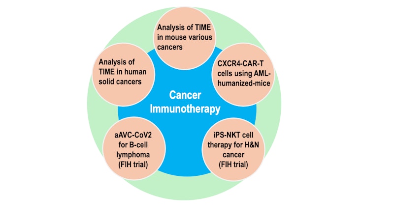 Cancer Immunology  figure