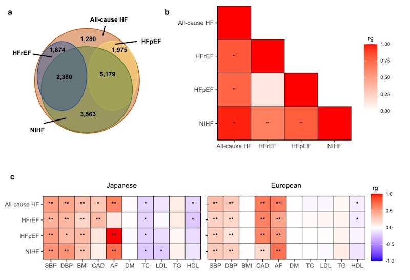 Laboratory for Cardiovascular Genomics and Informatics figure