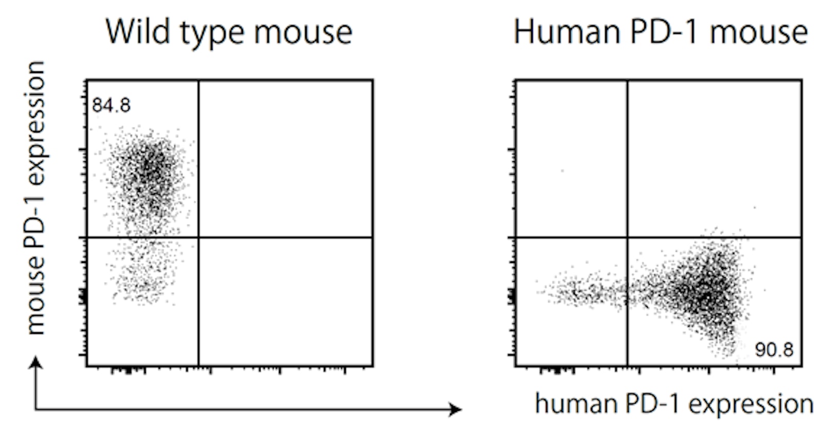 Laboratory for Inflammatory Immune Metabolism figure