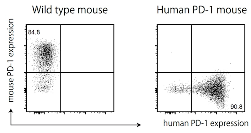 Laboratory for Inflammatory Immune Metabolism figure