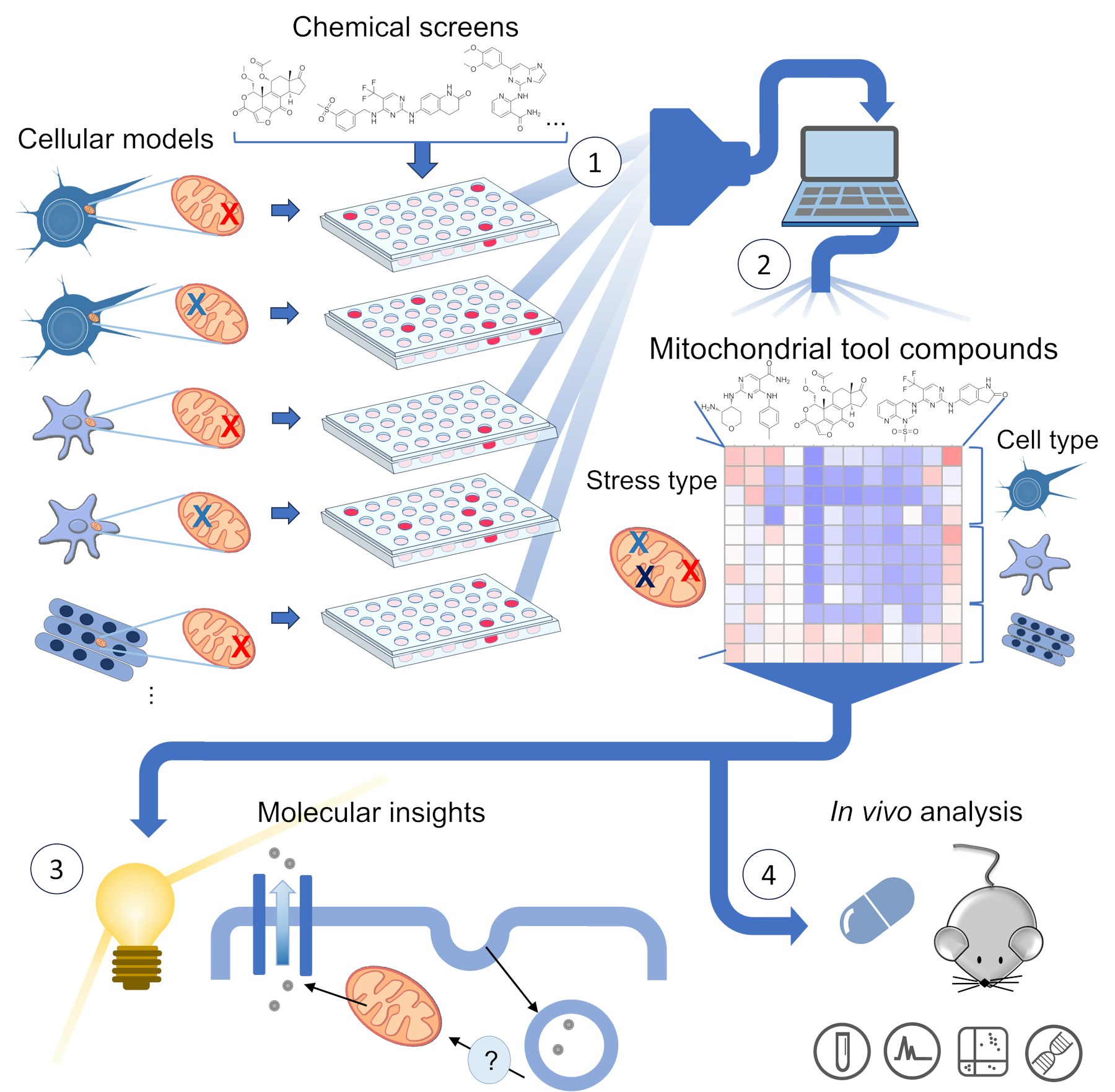 Laboratory for Metabolic Networks figure