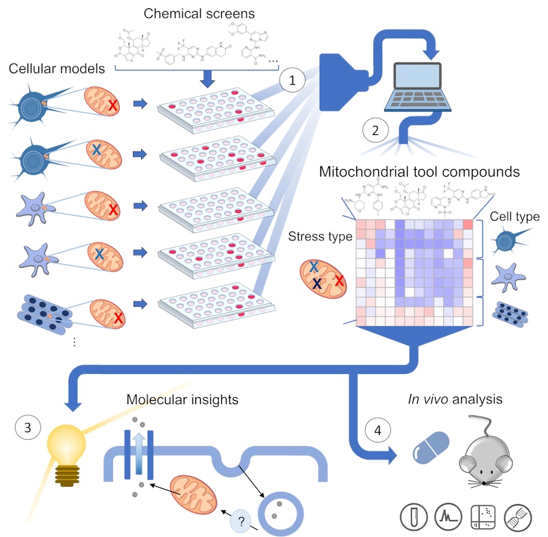 Laboratory for Metabolic Networks figure