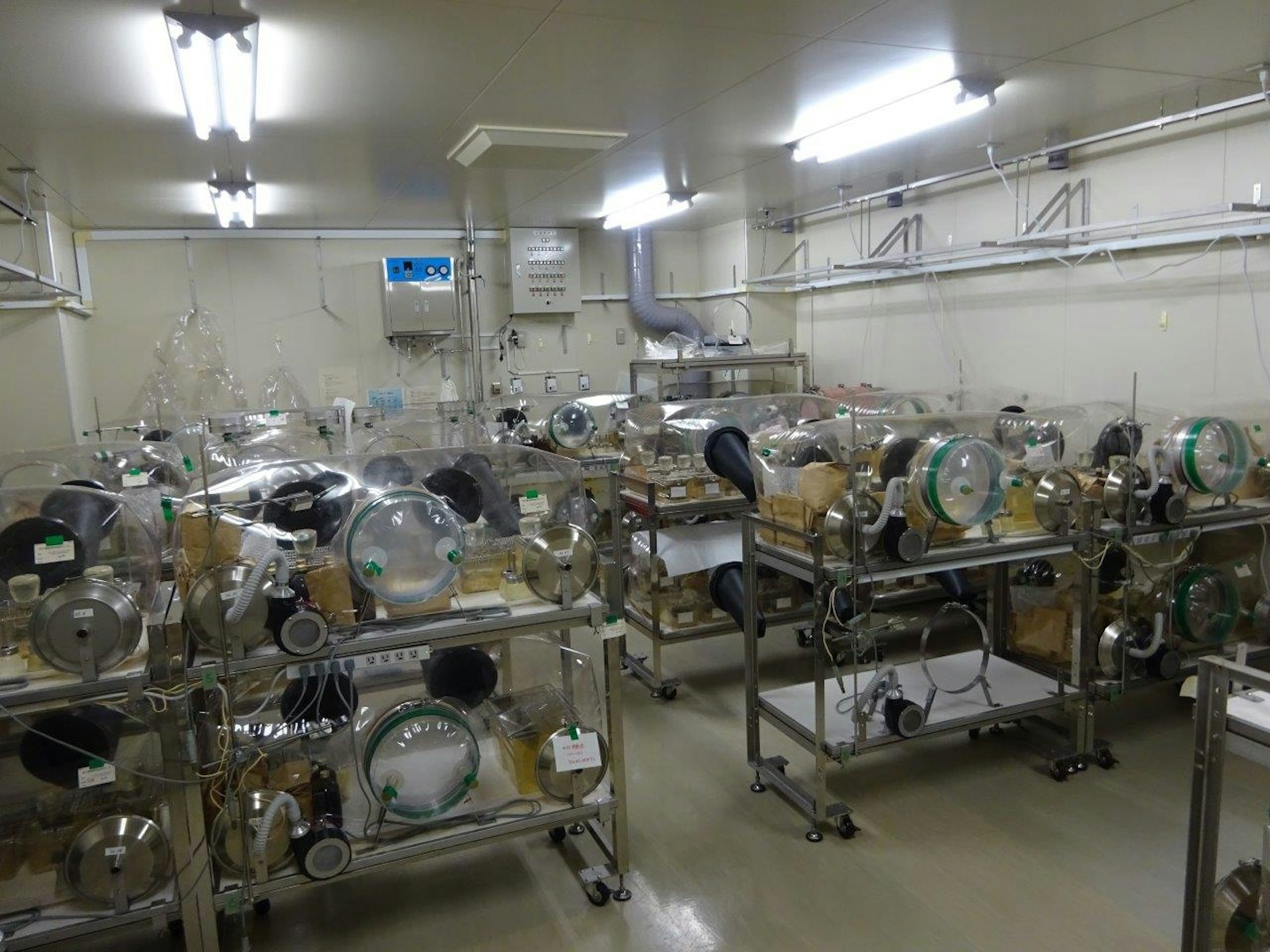 Graphical abstract and the vinyl isolator rooms