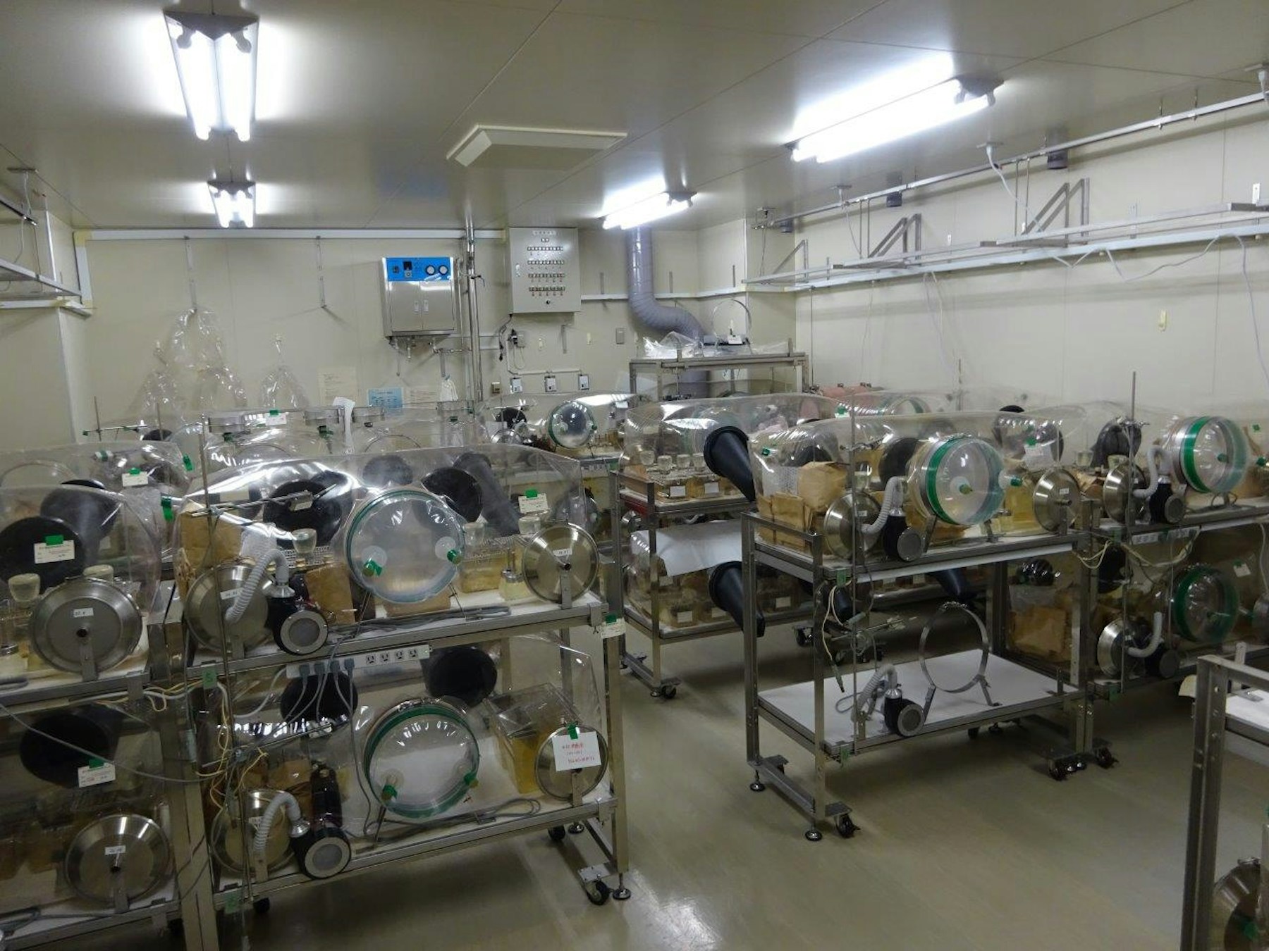 Graphical abstract and the vinyl isolator rooms