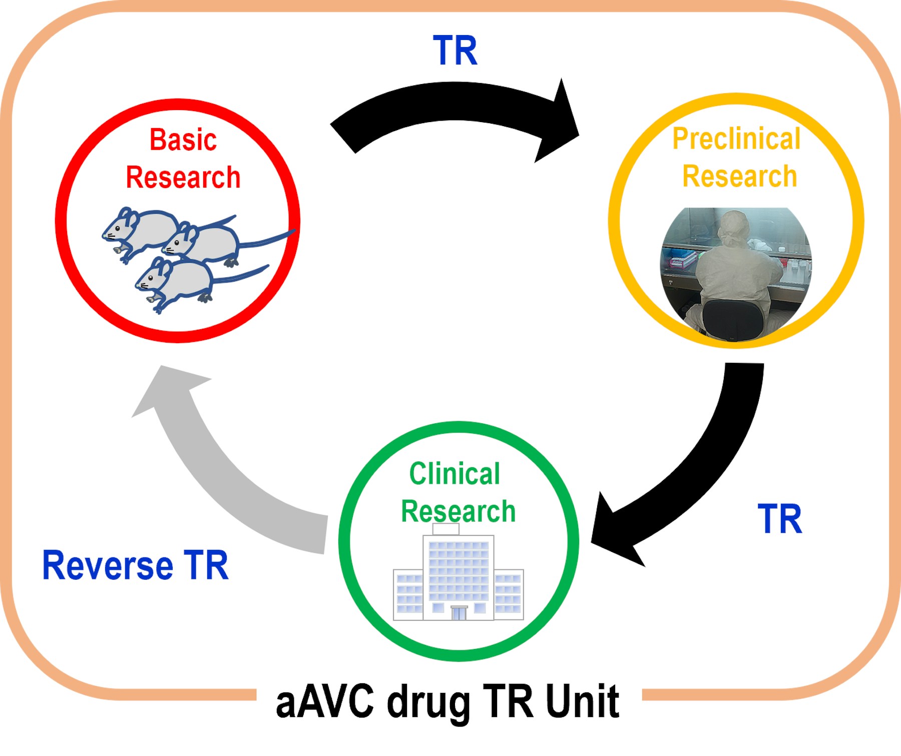 aAVC Drug Translational Unit figure