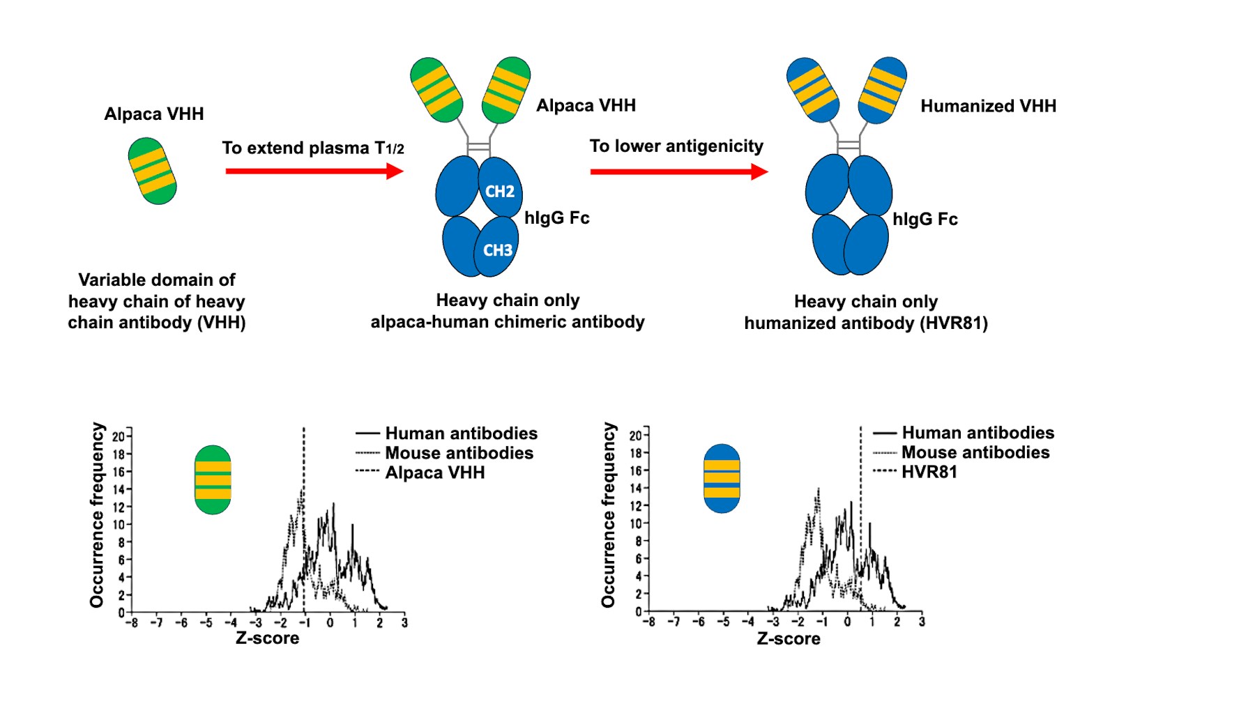 Laboratory for Cancer Invasion and Metastasis figure
