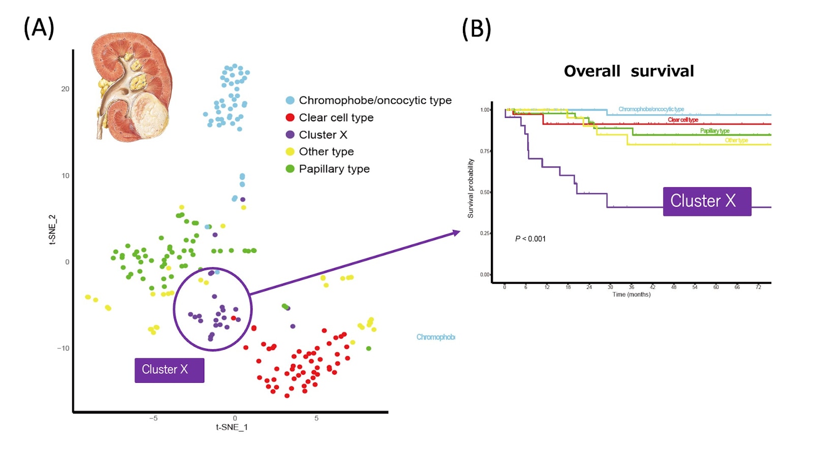 Laboratory for Cancer Genomics figure