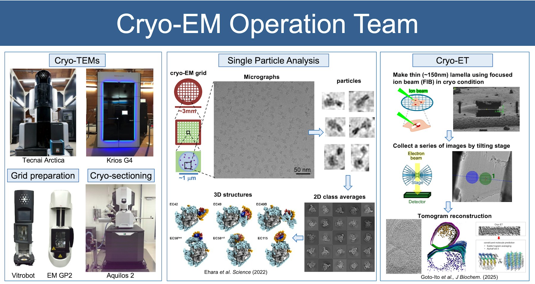 RIKEN Yokohama Cryo-EM Facility and available technology