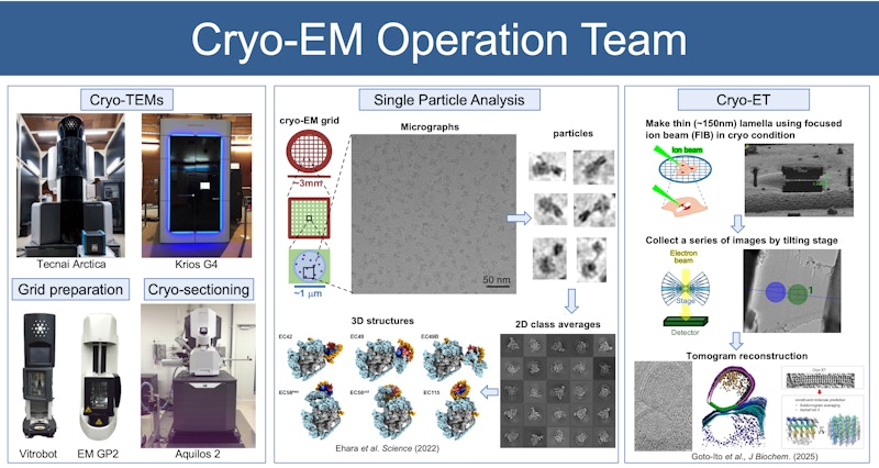 Cryo-EM Operation Team figure