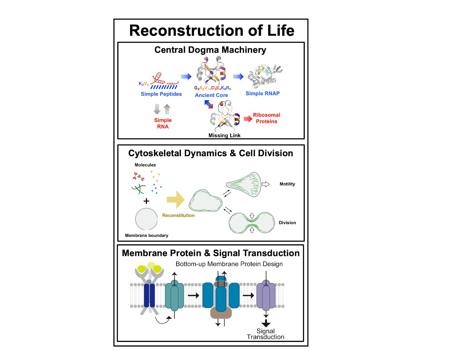 Synthetic Biology for Reconstruction of Life figure