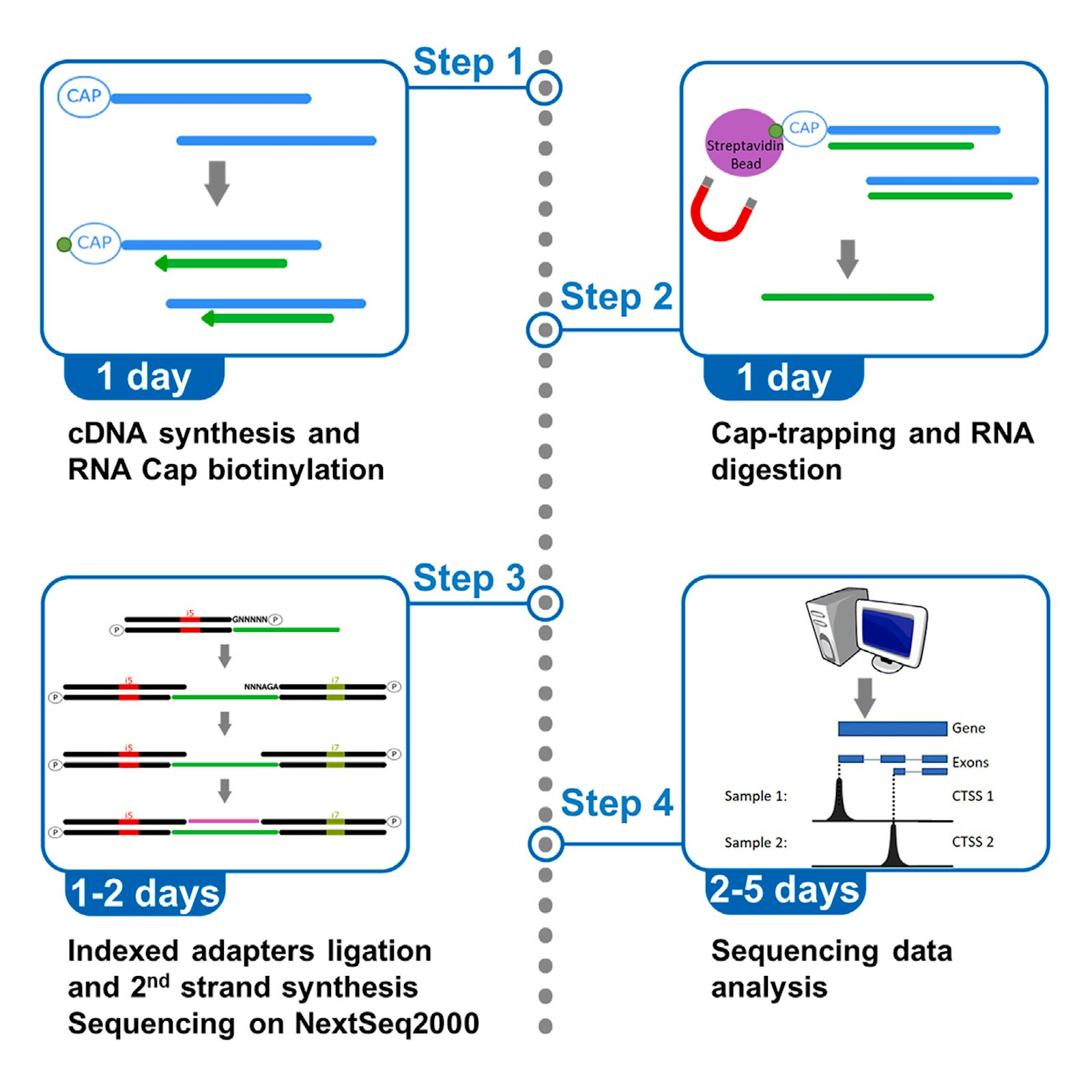 Laboratory for Transcriptome Technology figure
