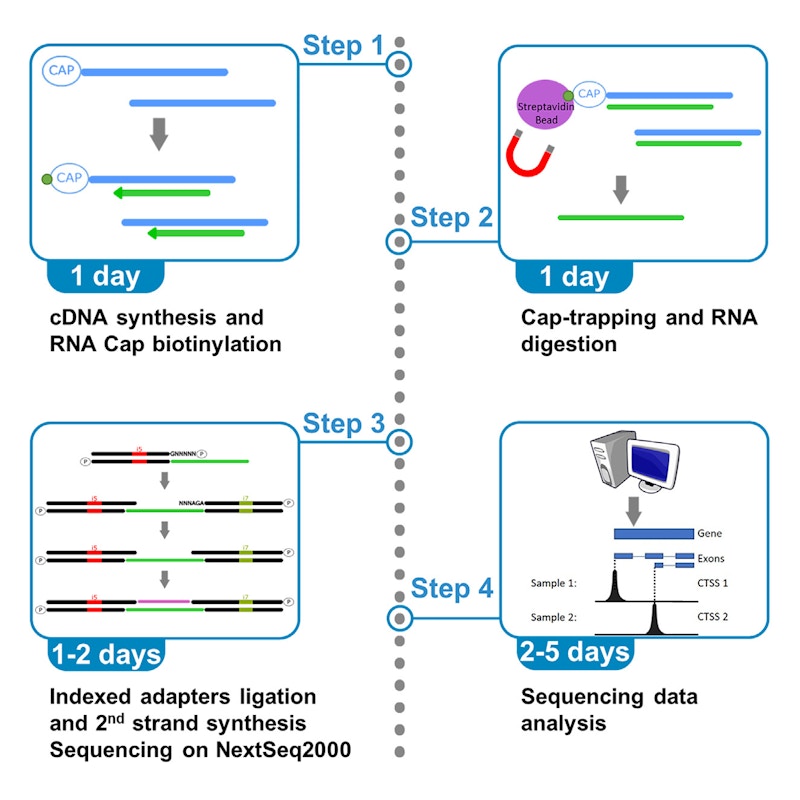 Laboratory for Transcriptome Technology figure
