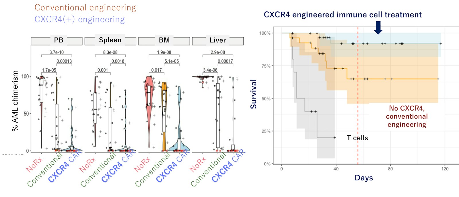Laboratory for Human Disease Models figure