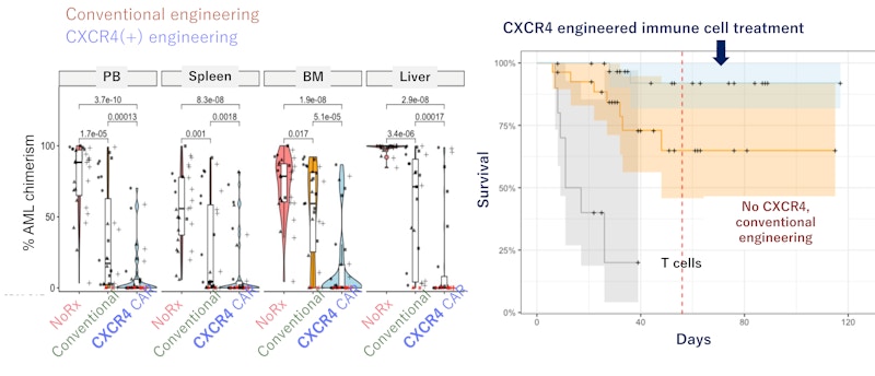 Laboratory for Human Disease Models figure