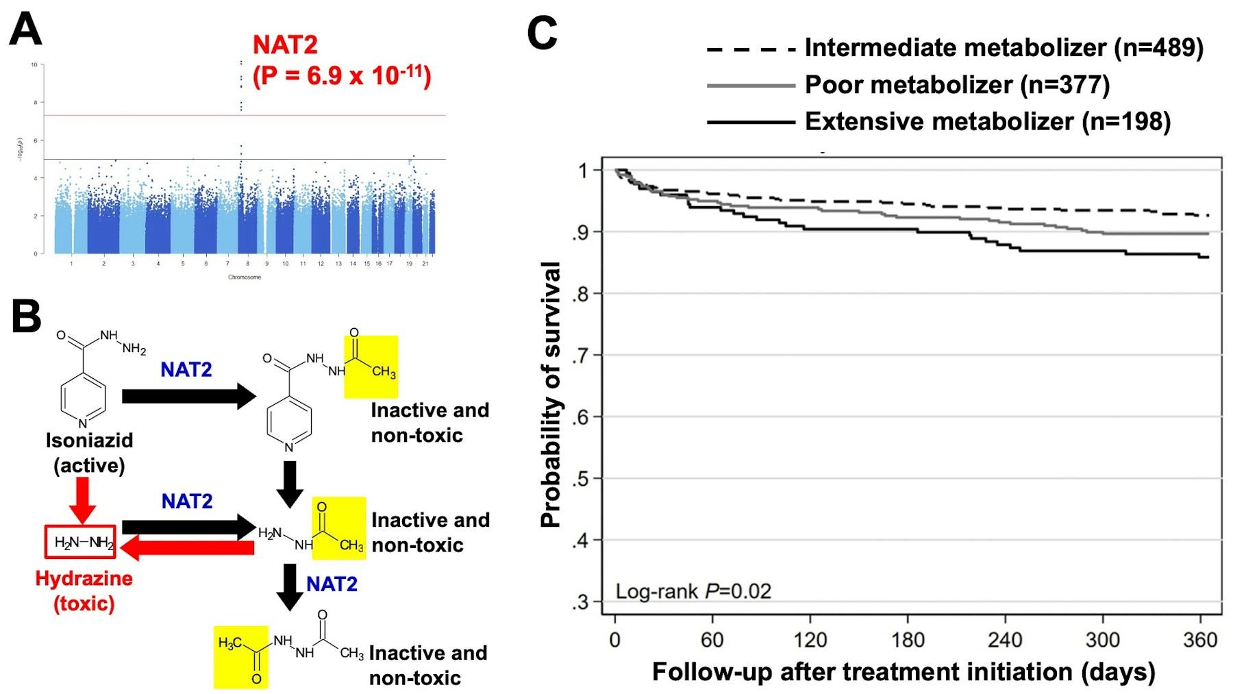 Laboratory for Pharmacogenomics figure