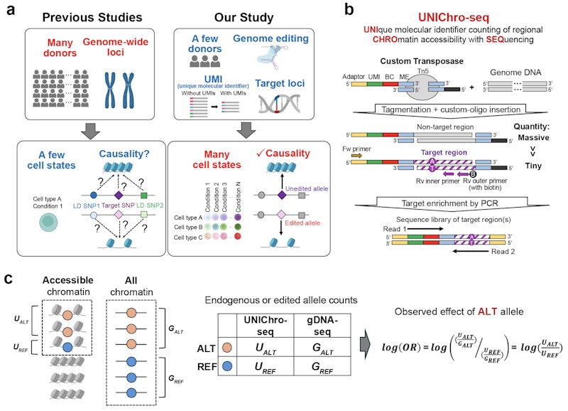 Laboratory for Human Immunogenetics figure