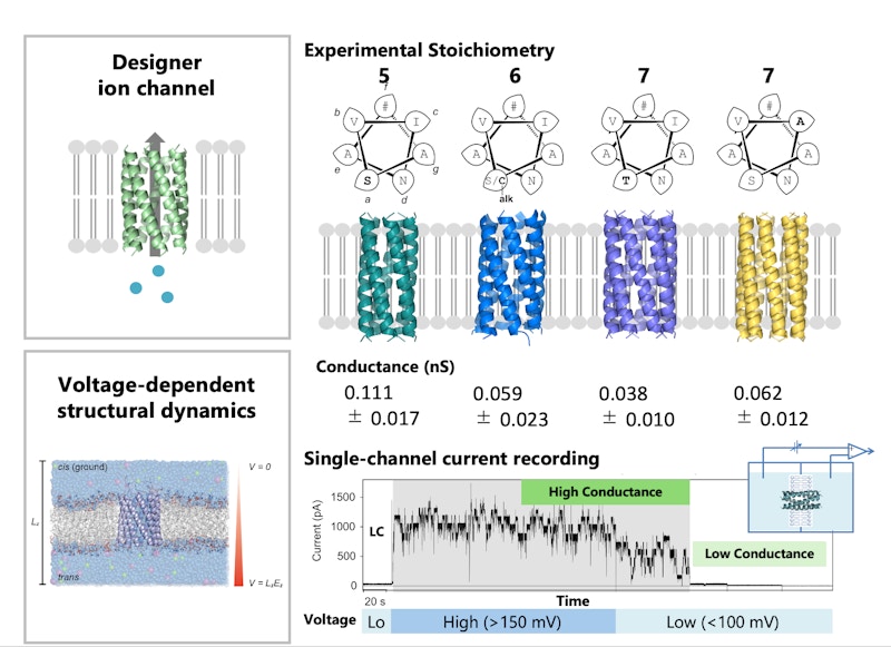 Laboratory for Dynamic Biomolecule Design figure