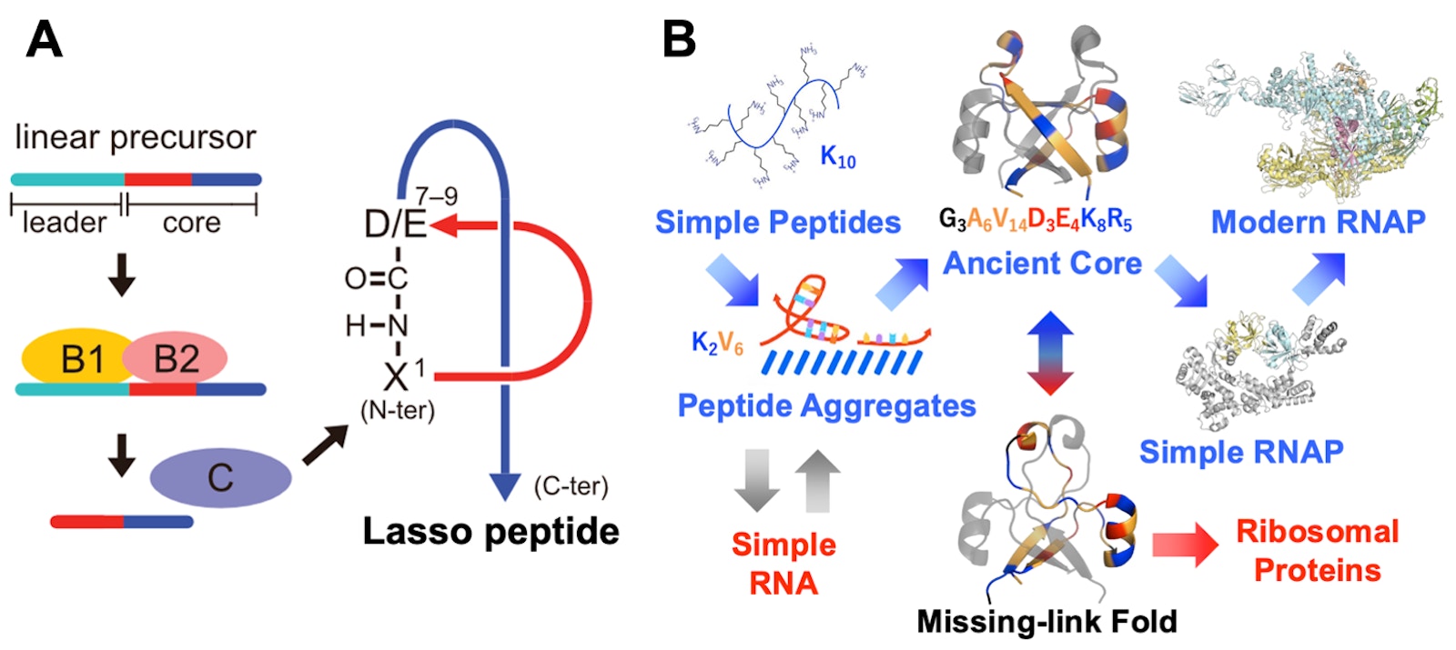 Laboratory for Advanced Biomolecular Engineering figure