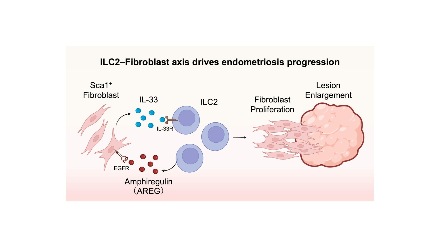 Laboratory for Innate Immune Systems figure