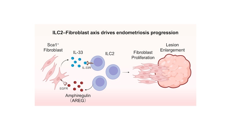 Laboratory for Innate Immune Systems figure