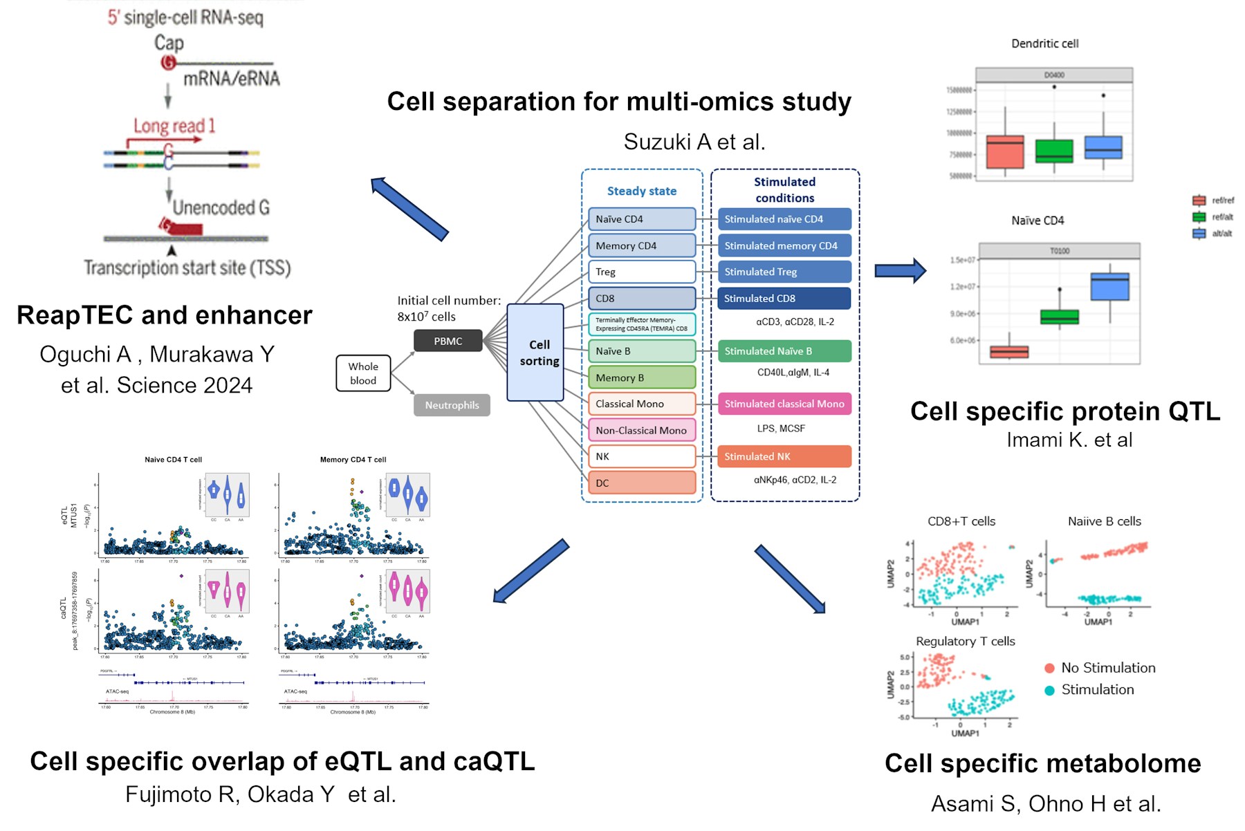 Multi-omics studies on human immune system (SCARDA) figure