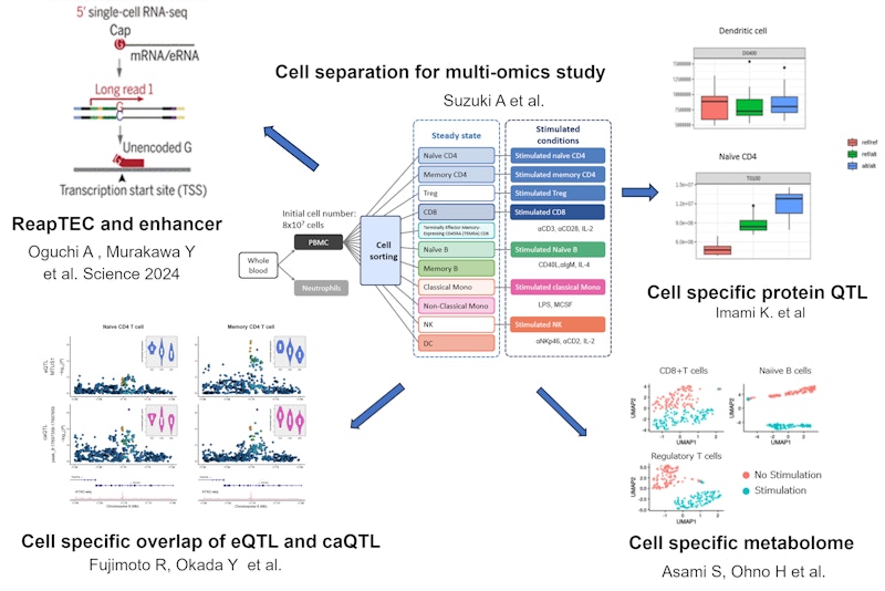 Multi-omics studies on human immune system (SCARDA) figure