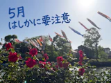 【緊急】はしか（麻しん）が急増中。目黒区の子育て世代が今やるべき3つのこと