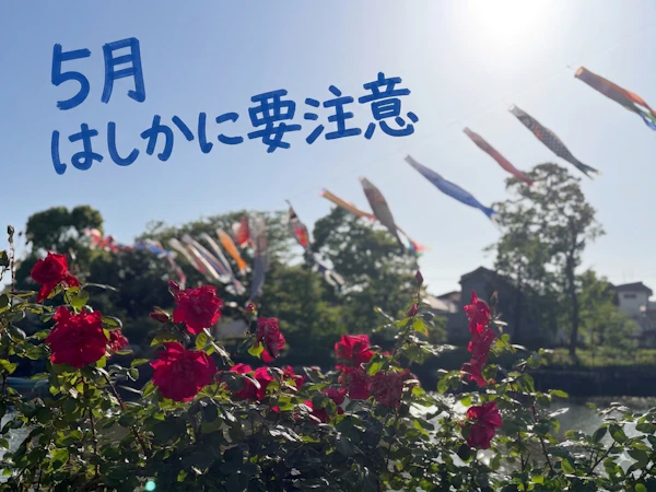 【緊急】はしか（麻しん）が急増中。目黒区の子育て世代が今やるべき3つのこと