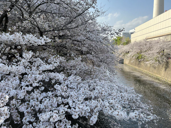 目黒区「待機児童ゼロ」の裏側にある、保活のリアルと「点数」の壁