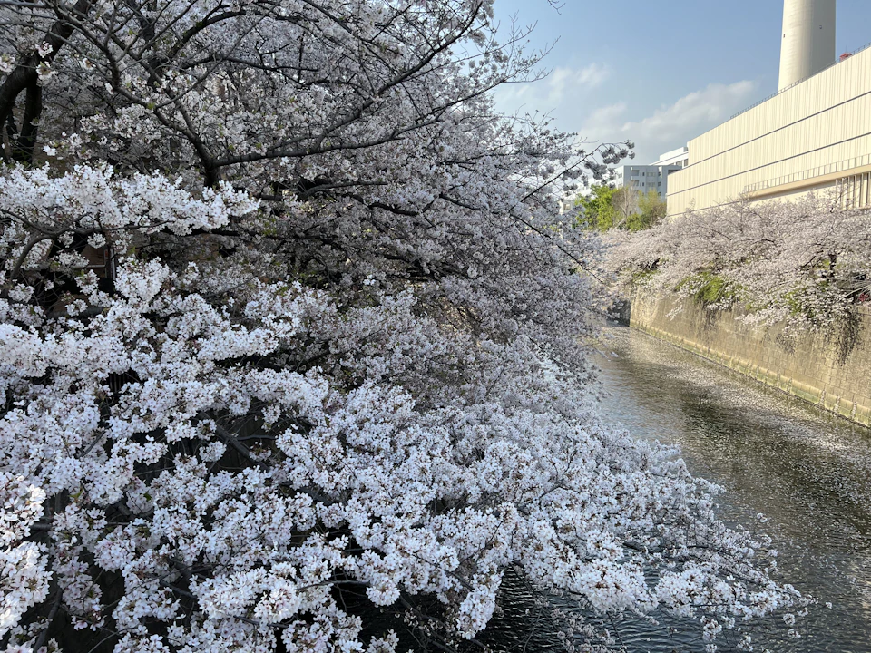 目黒区「待機児童ゼロ」の裏側にある、保活のリアルと「点数」の壁