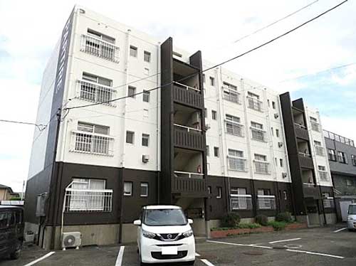徳島県 収益（１棟MS）物件