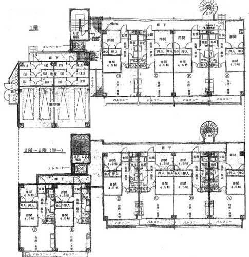 愛知県 収益（1棟MS）物件