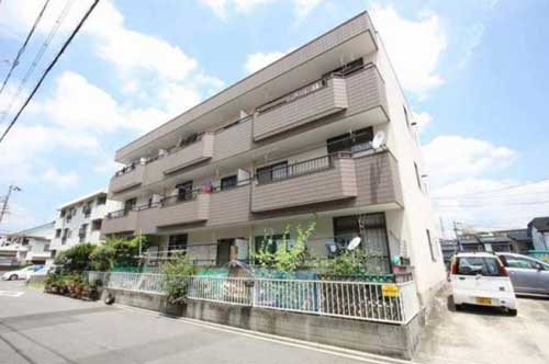 愛知県 収益（1棟MS）物件