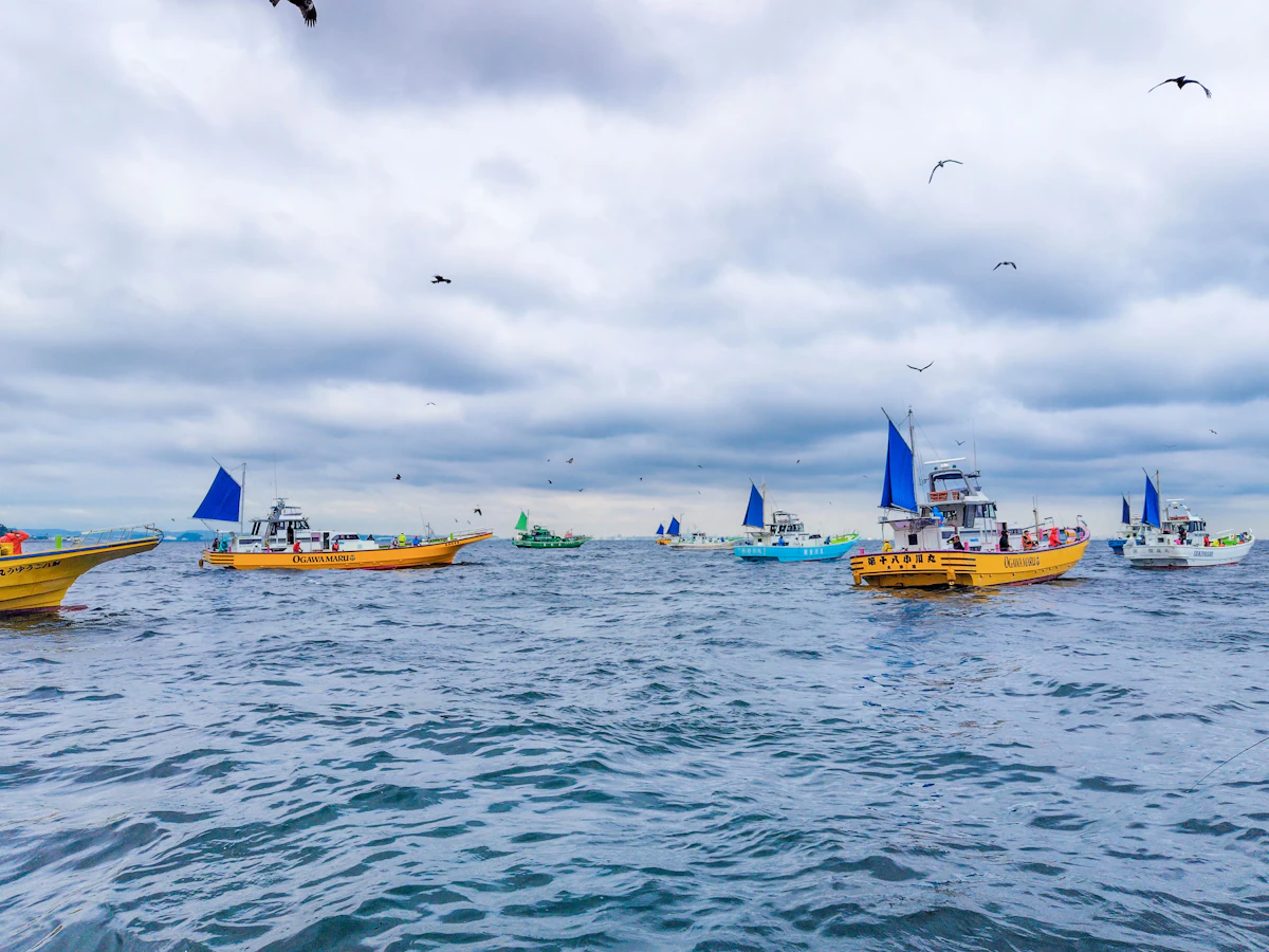 走水沖タチウオ船団