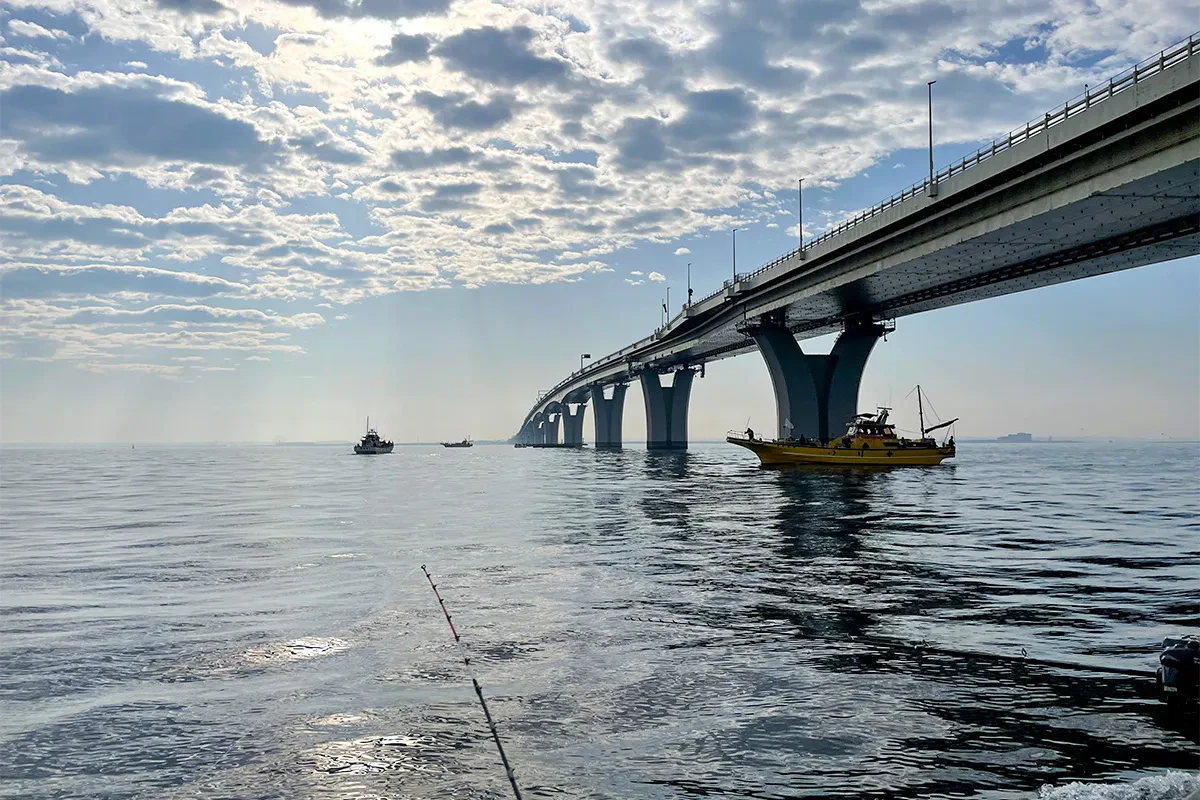 広範囲にアジを探す