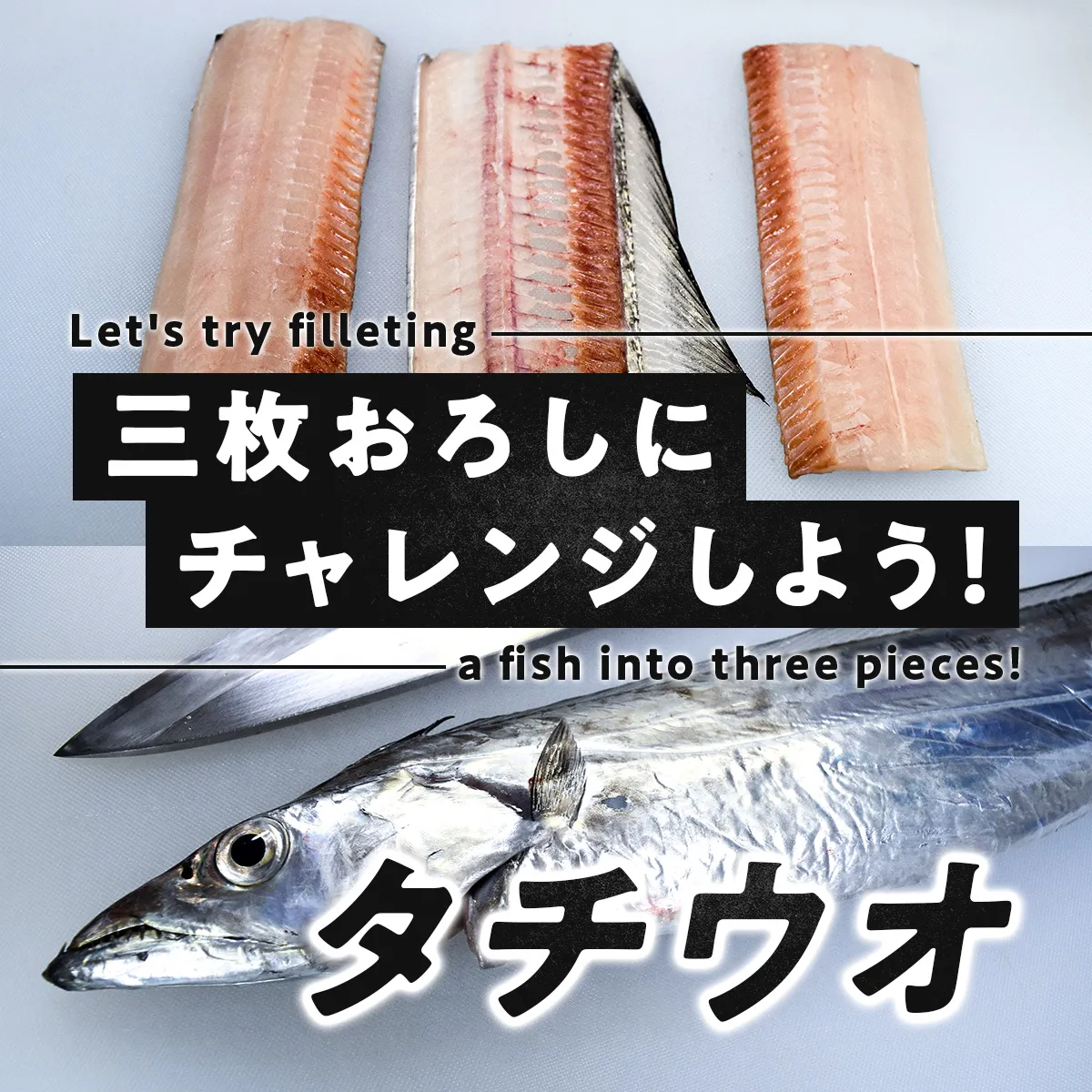 タチウオの捌き方サムネ タチウオの捌き方サムネ