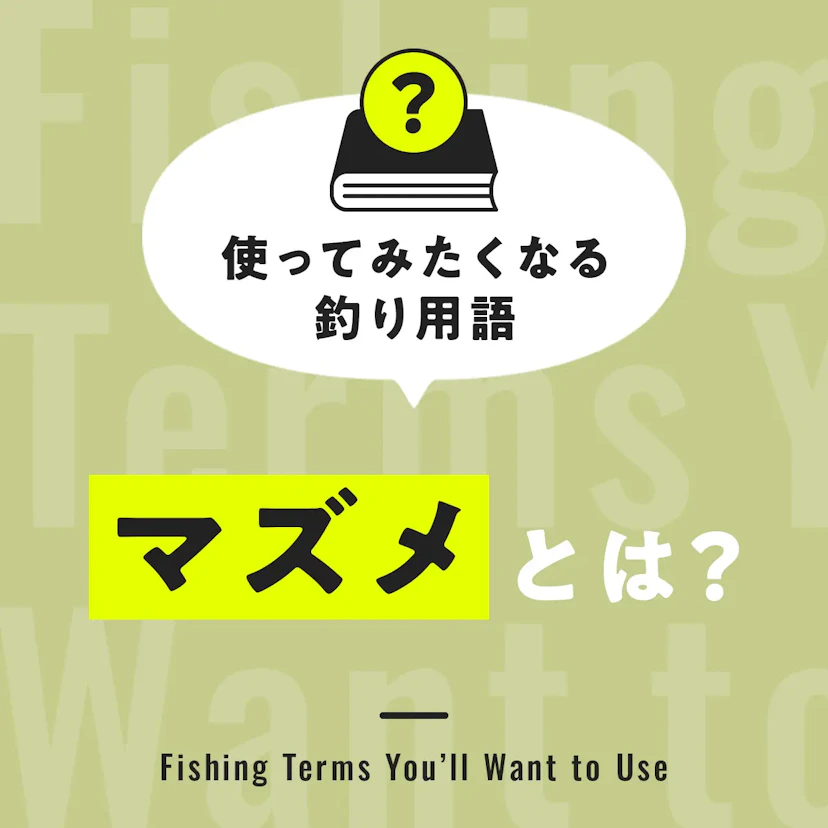 マズメとは？【使ってみたくなる釣り用語】