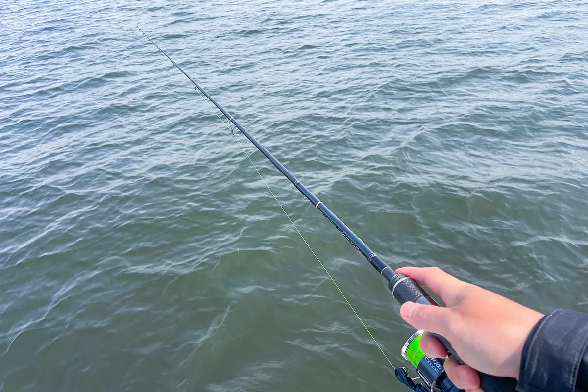 木曽三川のポイントで釣り再開