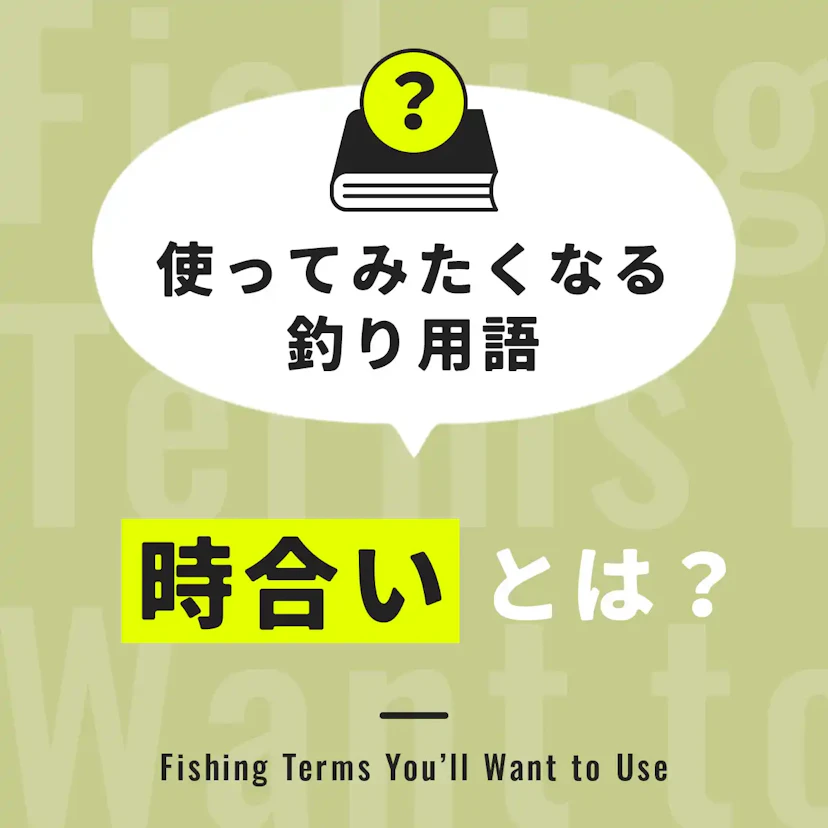 時合いとは？【使ってみたくなる釣り用語】