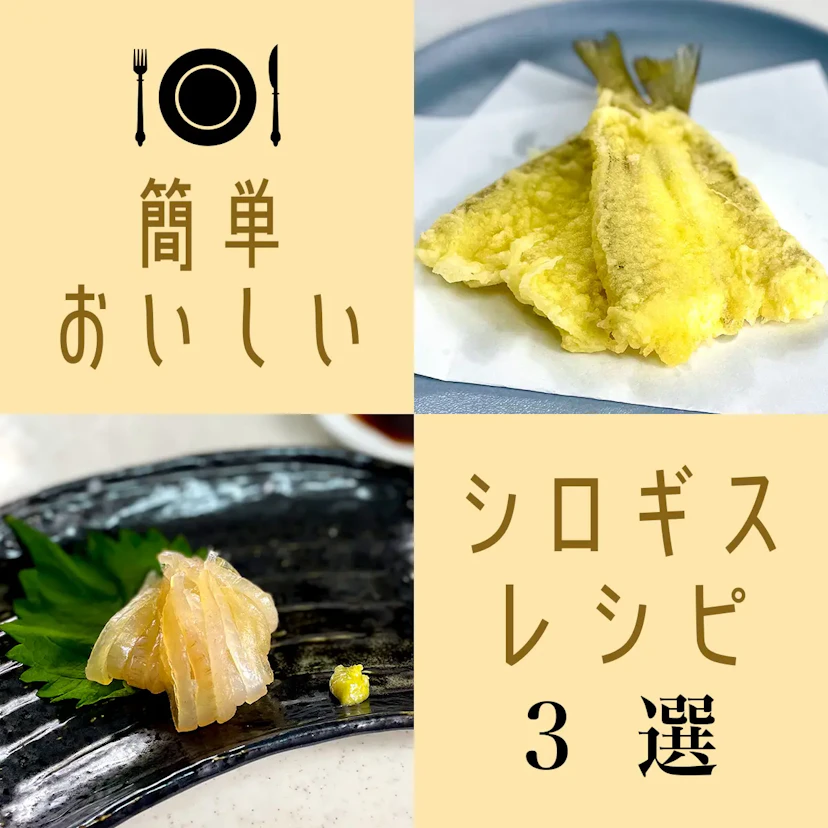 簡単！美味しい！シロギスのおすすめレシピ3選！