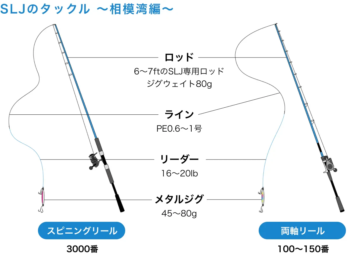 相模湾のSLJのタックル