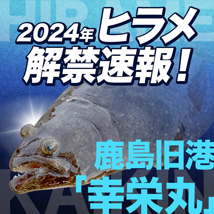 【2024】鹿島ヒラメ部分解禁速報！鹿島旧港「幸栄丸」